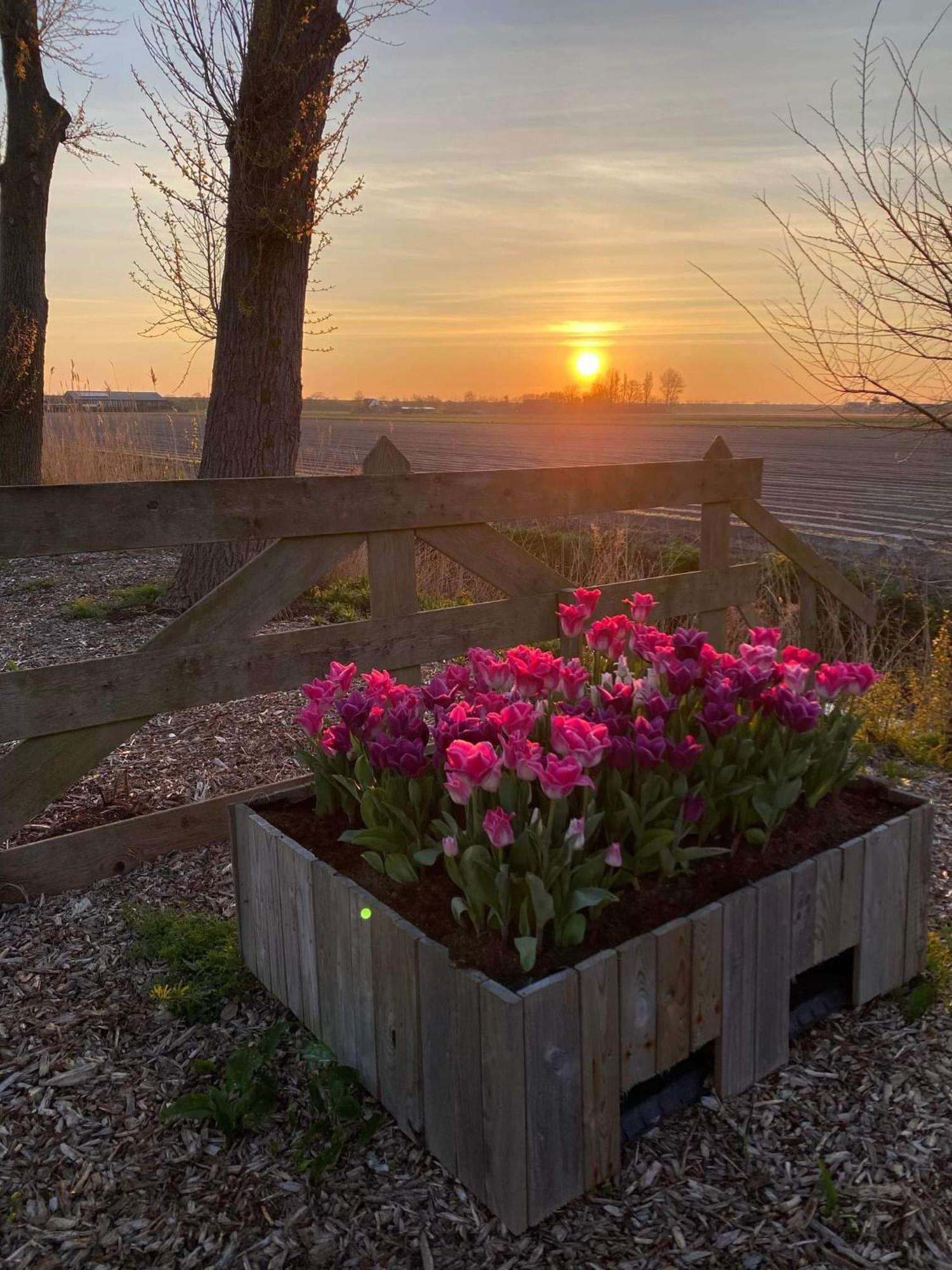 Camping De Tulpenweide Lege Kampeerplaats, Lege Plaats Op Het Gras Zonder Bed Breezand Ngoại thất bức ảnh