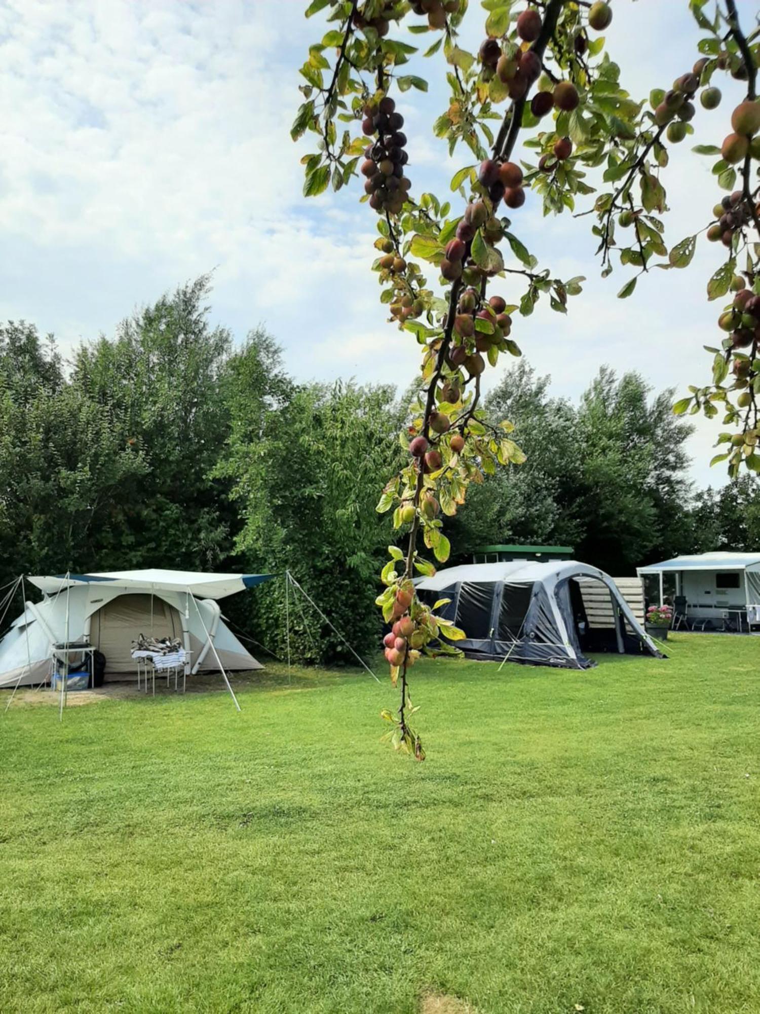 Camping De Tulpenweide Lege Kampeerplaats, Lege Plaats Op Het Gras Zonder Bed Breezand Ngoại thất bức ảnh