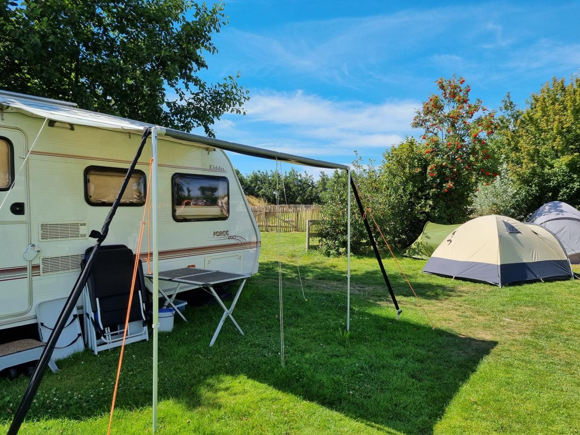 Camping De Tulpenweide Lege Kampeerplaats, Lege Plaats Op Het Gras Zonder Bed Breezand Phòng bức ảnh