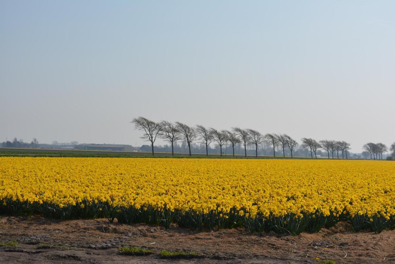 Camping De Tulpenweide Lege Kampeerplaats, Lege Plaats Op Het Gras Zonder Bed Breezand Ngoại thất bức ảnh